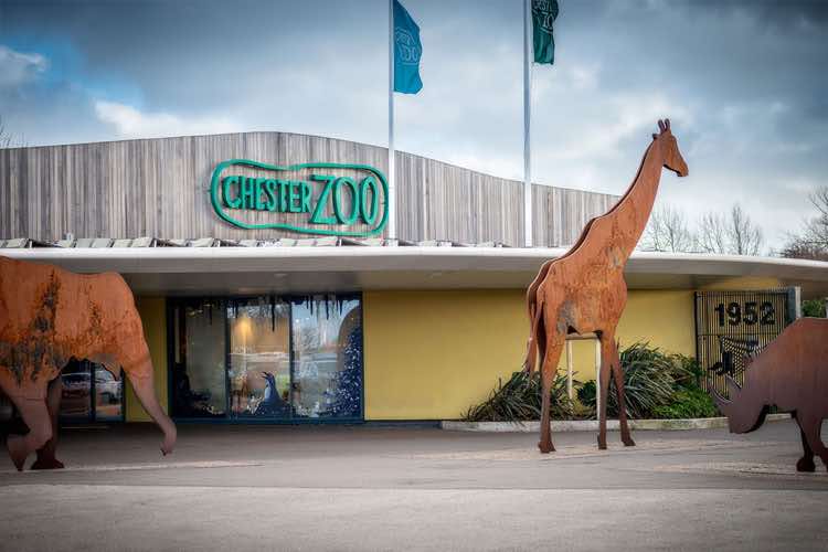 باغ‌ وحش چستر Chester Zoo از جاذبه های گردشگری انگلیس