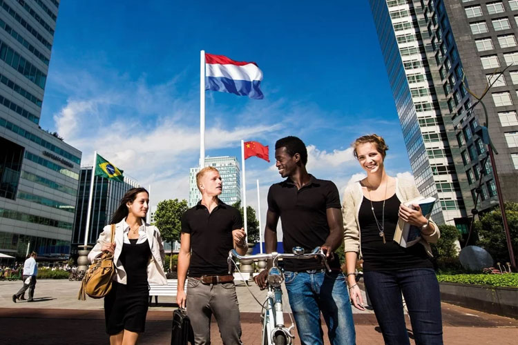 شرایط تحصیل در بهترین شهرهای هلند برای مهاجرت
