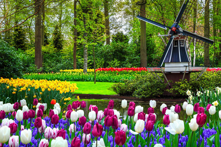 باغ کوکنهوف در جاذبه‌ های گردشگری هلند