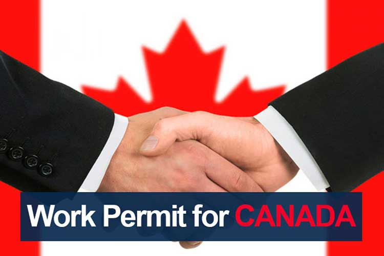 نحوه ثبت درخواست برای دریافت اجازه کار در کانادا