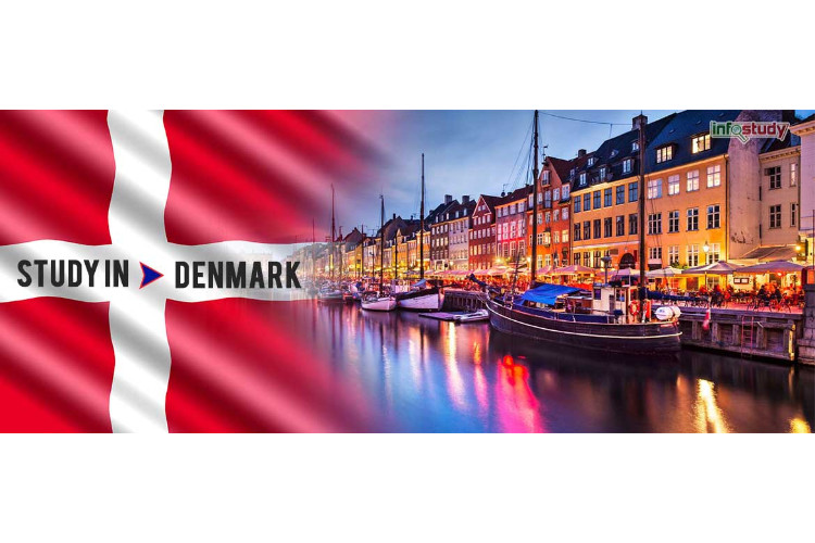 بازار کار برای فارغ‌التحصیلان در دانمارک چگونه است؟