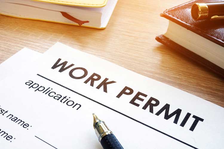 انواع ویزای کاری فنلاند
